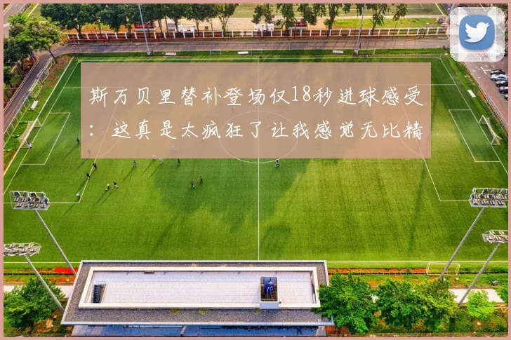 斯万贝里替补登场仅18秒进球感受：这真是太疯狂了让我感觉无比精彩